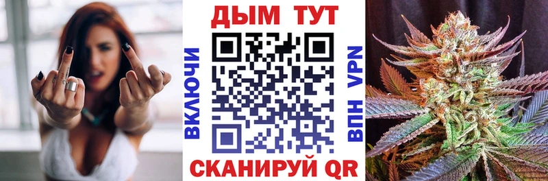Конопля OG Kush  Купить где  Байкальск 